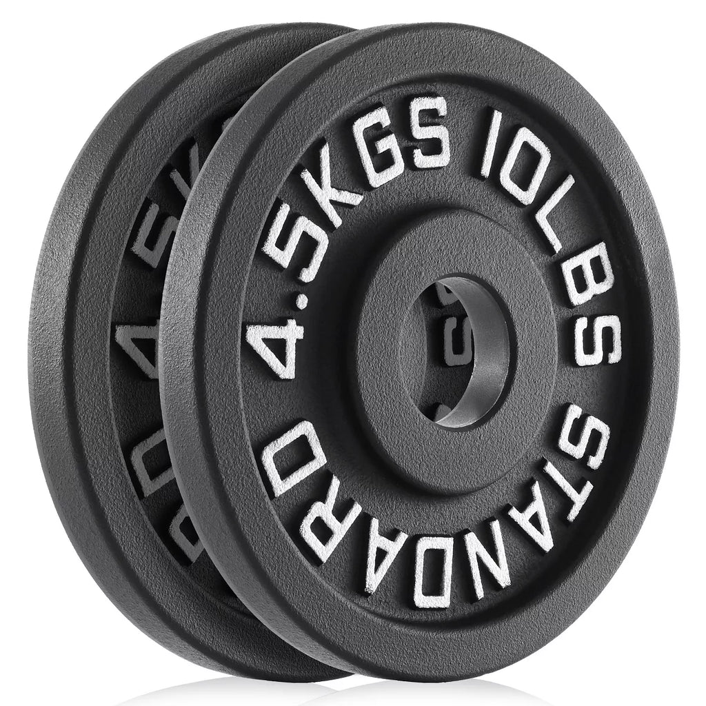 Philosophy Gym Set of 2 Cast Iron Olympic 2-Inch Weight Plates